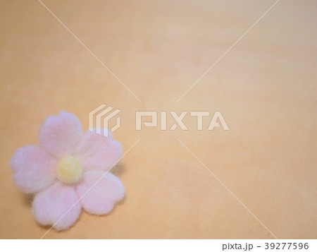 桜 羊毛フェルト フェルト 春の写真素材