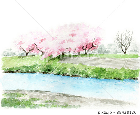 風景 桜 川 花のイラスト素材