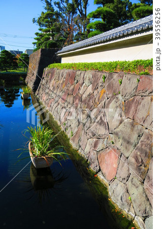 花畑記念庭園 花畑公園 東京都 足立区の写真素材