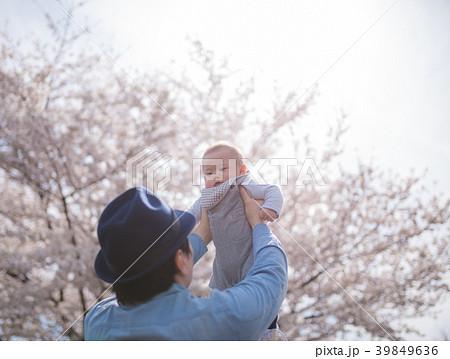 桜 赤ちゃん 高い高い 父親の写真素材