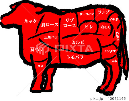 牛 牛肉 部位 図解のイラスト素材