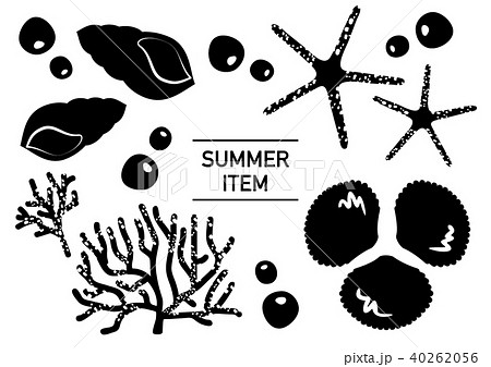 貝 貝殻 二枚貝 巻貝のイラスト素材