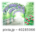 水彩で描いた藤のアーチの風景画のイラスト素材 [40285065] - PIXTA