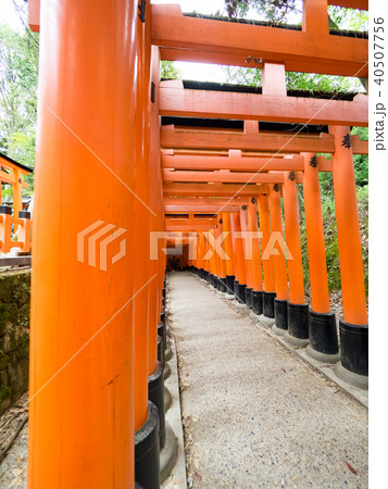 社寺 神社仏閣 和風 イラストの写真素材