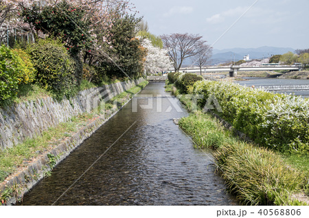 みそそぎ川の写真素材