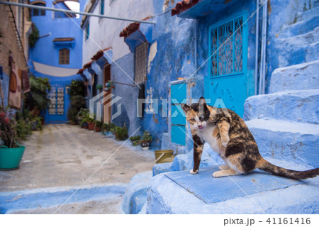 猫 路地 石畳 ねこの写真素材 - PIXTA