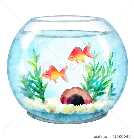 水槽 金魚鉢のpng素材集 ピクスタ