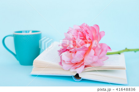 花 ピオニー ピンク ピンク色の写真素材