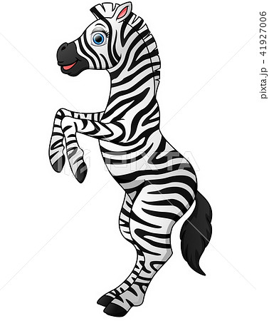 しまうま シマウマ ゼブラ 立つのイラスト素材 - PIXTA