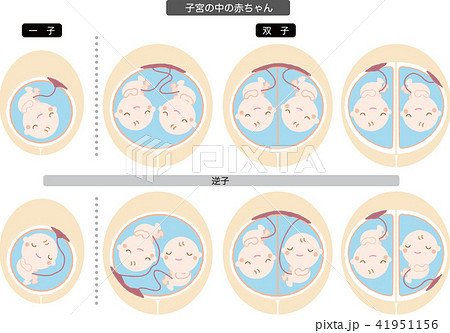 羊水のイラスト素材