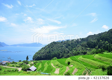 日引の棚田の写真素材