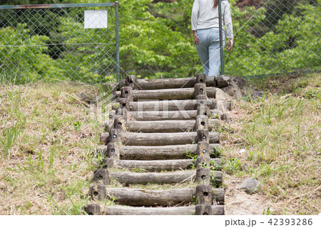 上がる 後ろ姿 階段 女性の写真素材
