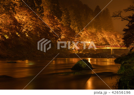 橋 ライトアップ 水辺 幻想的の写真素材