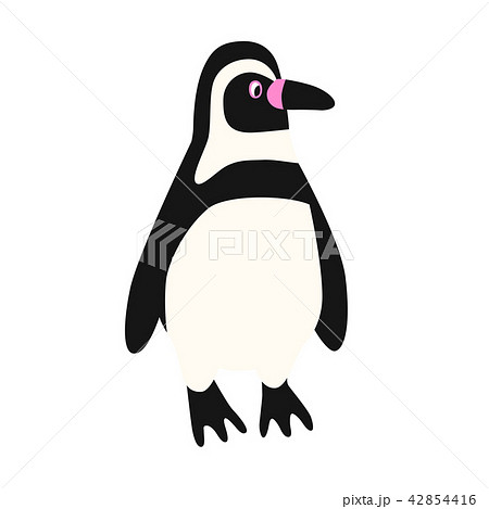 フンボルトペンギン くちばしのイラスト素材