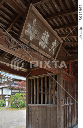 新潟 村上 佛海上人 龍 紙本肉筆掛軸 即身仏 真言密教 楽天市場】掛軸 南無阿弥陀仏 肉筆 山田瑞渓書 (仏事用 掛け軸六