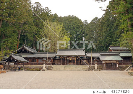 島崎正樹の写真素材