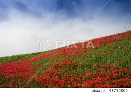 ごんぎつねの里の写真素材 Pixta