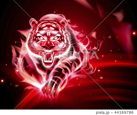 動物 火 炎 タイガーのイラスト素材