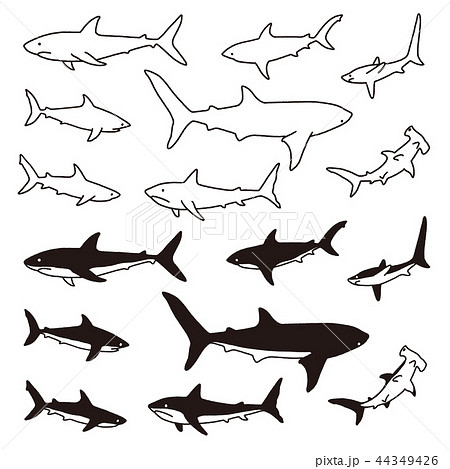 噛み付くのイラスト素材