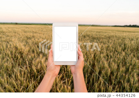 農業の アプリケーション スペース 空白の写真素材