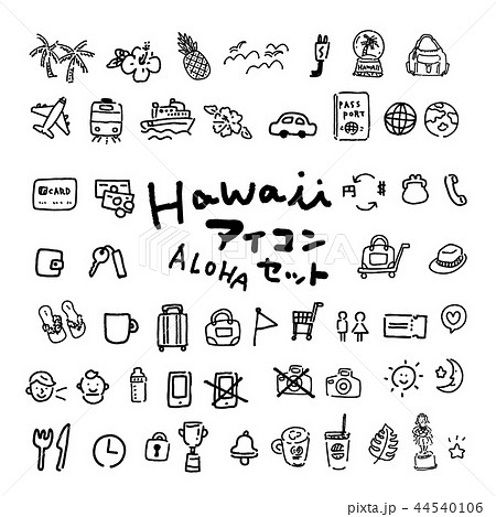 ベクター 海外旅行 アイコン ハワイのイラスト素材