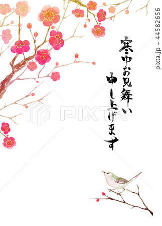 寒中お見舞いの写真素材