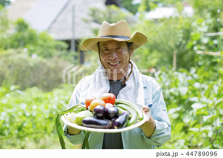 畑 農業 おじいさん 男性の写真素材