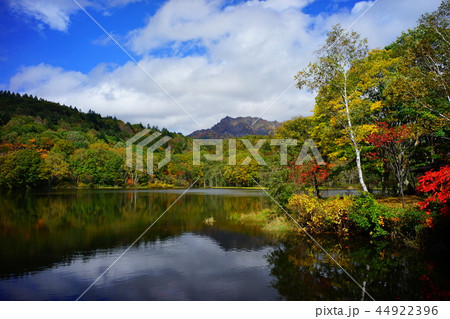 戸隠 小鳥ヶ池 風景 池の写真素材 - PIXTA