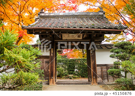 卍山道白 寶樹林の写真素材