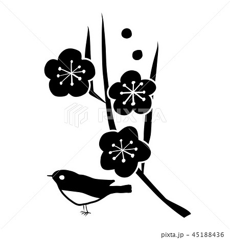 最も共有された 小鳥 イラスト 白黒 動物画像無料