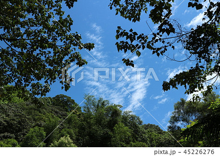 スカイツリー スカイツリーと青い空 下からアップ 下からのアングルの写真素材 Pixta