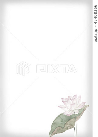 スイレン 水墨画 花 睡蓮の写真素材 - PIXTA