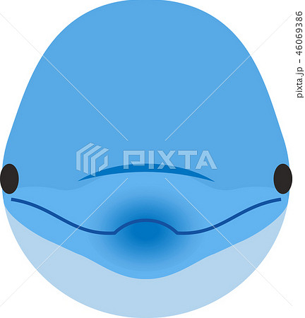 正面イルカのイラスト素材 Pixta