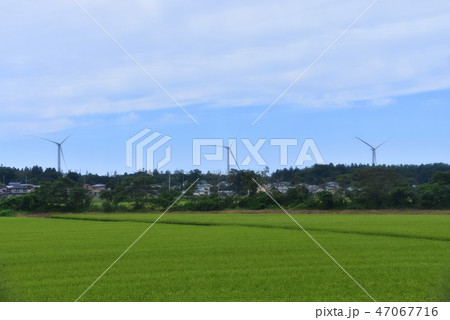 風切り 風車の写真素材 - PIXTA