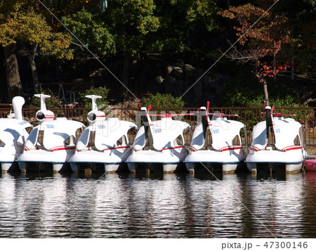 東山公園の遊園地 東山公園 東山動物園 東山動植物園の写真素材