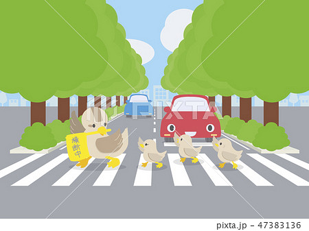 横断歩道を渡るのイラスト素材