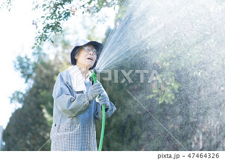 水やり 水 ホース 水撒きの写真素材