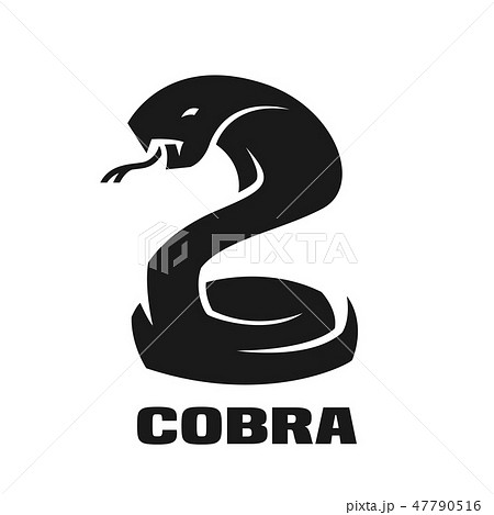キングコブラ ヘビの写真素材