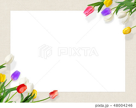 背景 花 麻布 春 チューリップ フレーム 白バックのイラスト素材