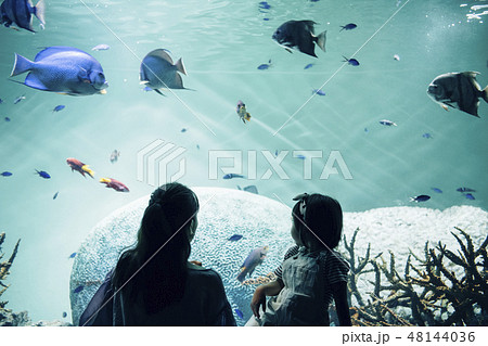 水中 女の子 少女 海の写真素材