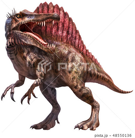 スピノサウルスのイラスト素材 Pixta