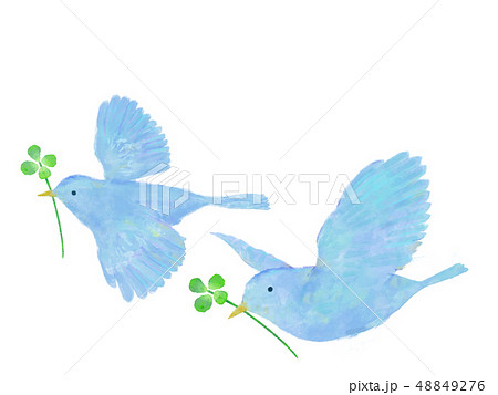 四葉 青い鳥 クローバー 小鳥のイラスト素材
