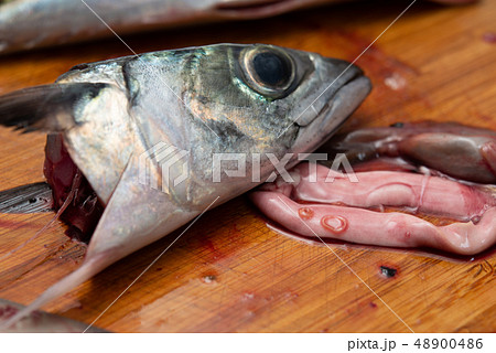 寄生虫 食材 魚 アニサキスの写真素材