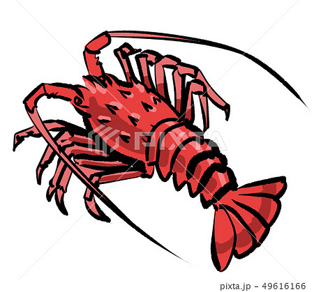 伊勢海老のイラスト素材