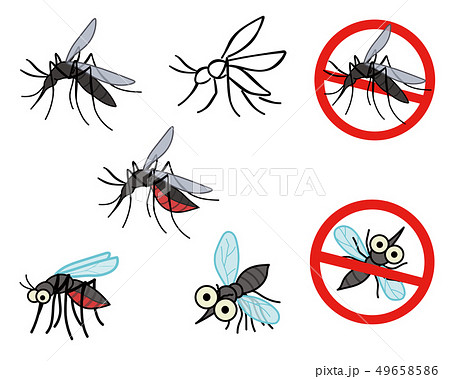 蚊 カ 虫 害虫のイラスト素材