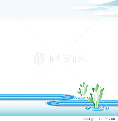 水芭蕉のイラスト素材