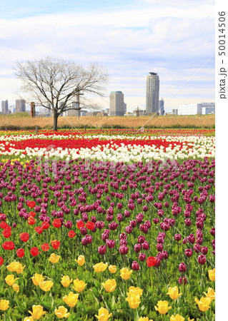 西新井駅の写真素材