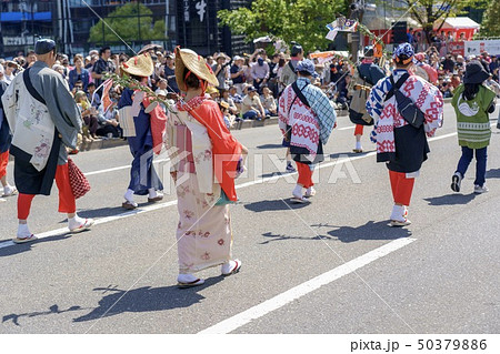 博多どんたく港まつりの写真素材