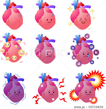 心臓 内臓 ベクター Heartのイラスト素材