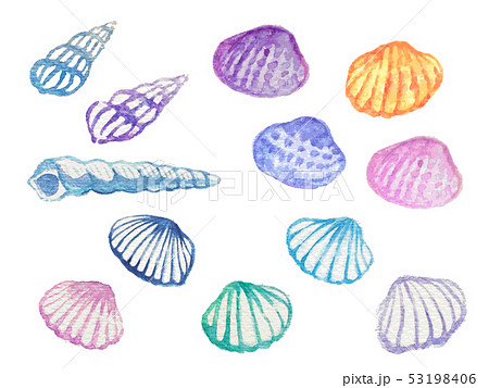 虹色貝の写真素材